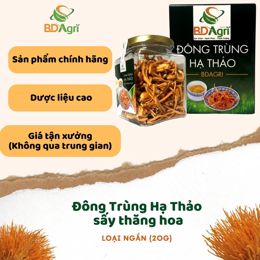 Đông trùng hạ thảo khô chính hãng BDAGRI loại 2 dược liệu cao sấy thăng hoa bồi bổ sức khoẻ