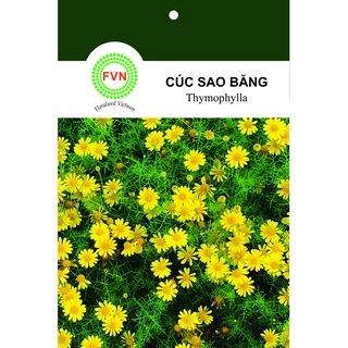 HẠT GIỐNG HOA CÚC SAO BẮNG MÀU VÀNG FVN GÓI 15 HẠT - THYMOPHYLLA