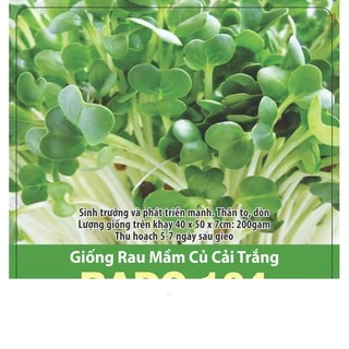 Hạt Giống Rau Mầm Củ Cải Trắng Thu Hoạch Sau 5 Ngày Gói 15gr