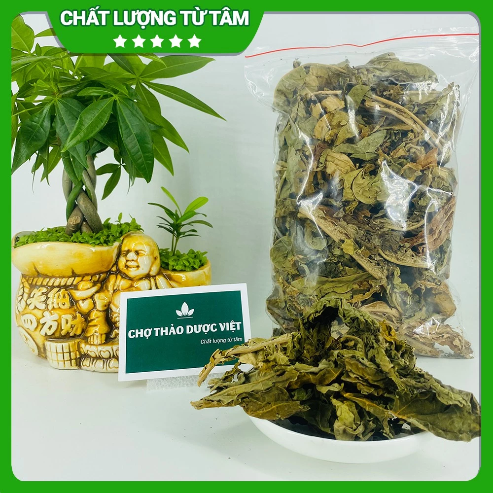 500g Lá Đu Đủ Đực (Khô, Sạch, Đẹp)