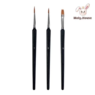 Set 3 cây cọ vẽ màu acrylic, vẽ màu nước số 1,3,5 Moly House