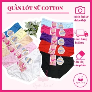 Combo 10 quần lót cotton giá rẻ thấm hút mồ hôi và co giãn, nhiều size