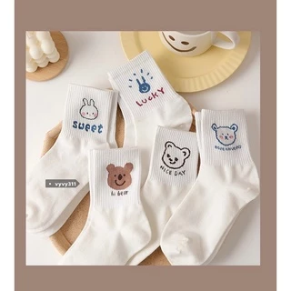 Tất Vớ Cotton In Hình Gấu Siêu Dễ Thương (SẴN HÀNG - HOẢ TỐC)