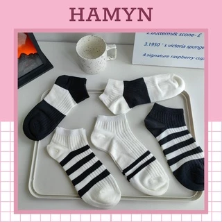 Tất nam ngắn cổ chất cotton thấm hút mồ hôi trắng đen T056 HAMYN