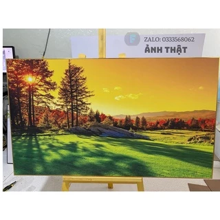 (Có ẢNH THẬT) Tranh Canvas Treo Tường,Tranh phong cảnh,Decor phòng khách,phòng ngủ,cầu thang đẹp⚡FREE SHIP⚡Giá rẻ