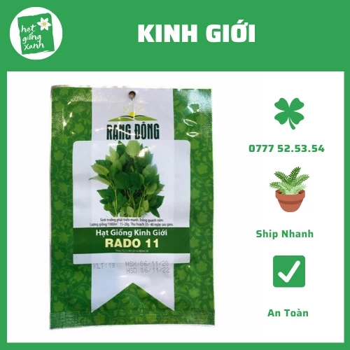 Hạt giống Rau Kinh Giới (1 gr) phù hợp khí hậu VN