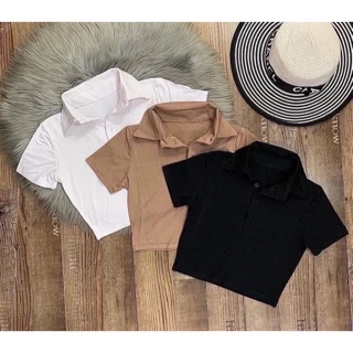 Áo croptop polo cổ trụ phối nút basic chất vải thun porip co giãn mềm mịn - Colory Shop