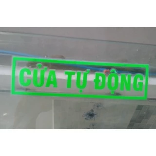 Tem logo decal chữ " CỬA TỰ ĐỘNG " dán xe ô tô