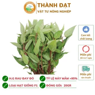 Hạt giống rau đay đỏ cao sản gói 20gr