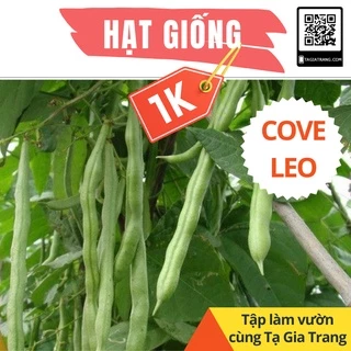 Deal 1K - 5 Hạt giống đậu cove leo, đậu trạch (hạt nâu, quả dẹt) - Tập làm vườn cùng Tạ Gia Trang