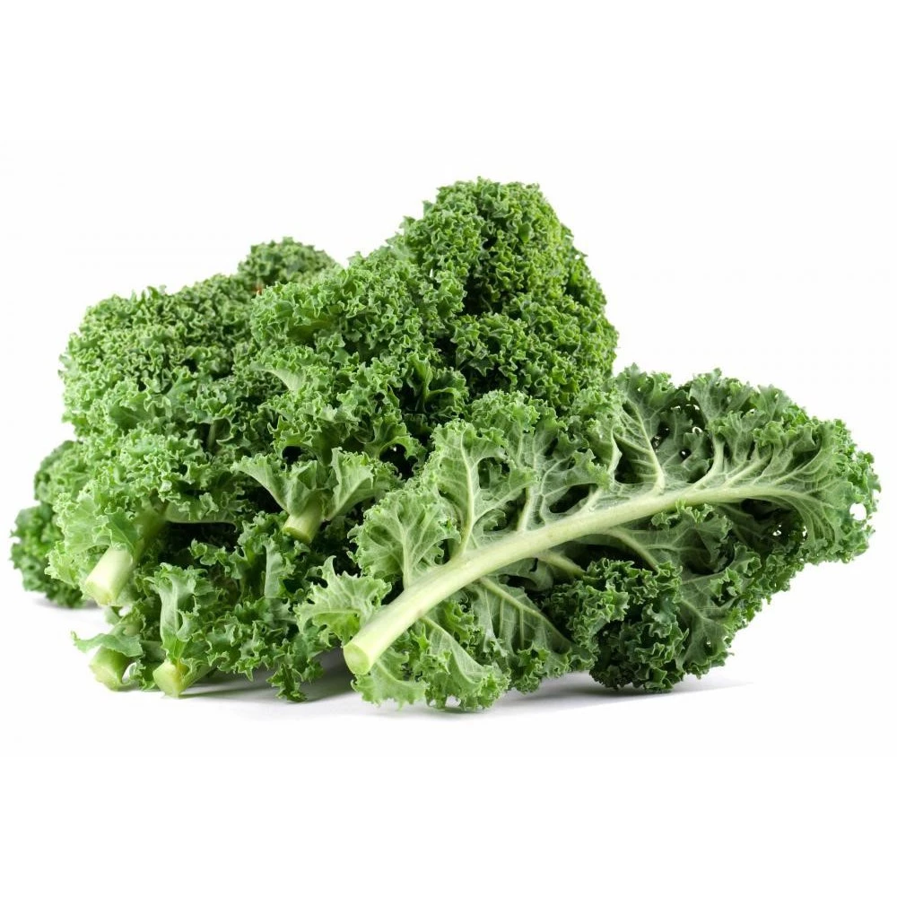 Gói 5g hạt giống cải xoăn xanh Kale