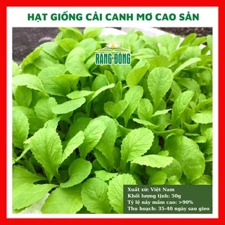 Hạt giống rau cải canh mơ cao sản ngon ngọt - rau củ quả trồng chậu, sân vườn ban công ngon giòn ngọt 20gr