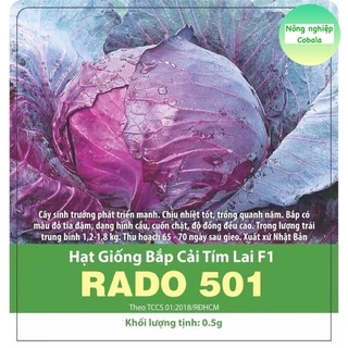 Hạt Giống Bắp Cải Tím F1 (RADO501) Chịu Nhiệt, Năng Suất Cao 0.5gr