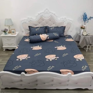 Bộ ga giường m6/ m8 ( FREE SHIP ) ga trải giường ,drap giường boly+ 2 vỏ gối nằm nhiều mẫu