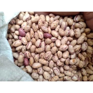 500g Đậu Cúc Argentina