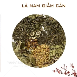 Lá nam giảm cân (Công thức gia truyền, an toàn và hiệu quả)