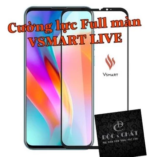 Combo Cường lực và ốp lưng Vsmart Live