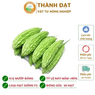 Hạt giống mướp đắng, hạt giống khổ qua gói 10 hạt-Quả dài 30-35cm