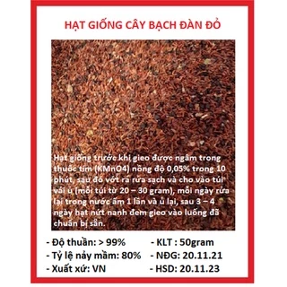 Hạt giống cây bạch đàn đỏ 1 gói 50gram ( CHHG )