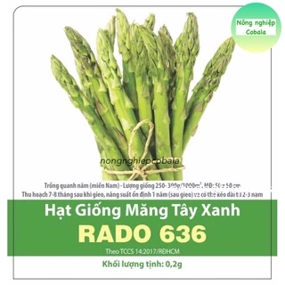 Hạt Giống Măng Tây Xanh Dễ Trồng, Thu Hoạch Quanh Năm 0.2gr