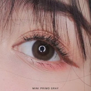 Áp Tròng Không Giãn MINI PRIMO GRAY Ẩm Cao 55% HSD 6 Tháng Lens Xám Tự Nhiên Đi Học Đủ Độ Phù Hợp Mắt Nhạy Cảm