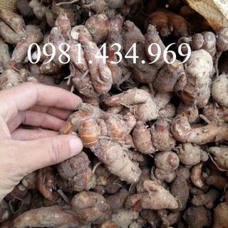 Củ Địa Liền (Xá Kén) Tư ơi 500G