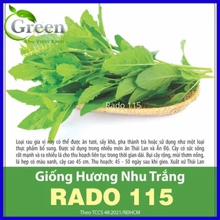 Hạt Giống Hương Nhu Trắng Thái Lan