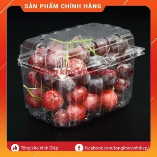 50 hộp nhựa đựng 500g, 1kg trái cây hoa quả có lỗ bấm, lỗ thoát khí P500B P1000B