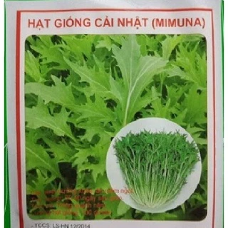 Hạt giống rau cải xanh Nhật Bản KNS3387  - Gói 10gram