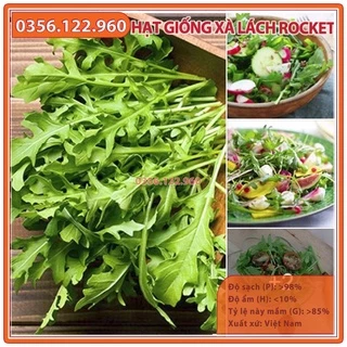 Hạt giống rau xà lách rocket, rau arugula - gói 2g - dễ trồng dễ chăm sóc