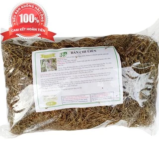 Cây bán chi liên sấy khô 1kg