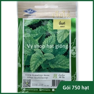 Hạt giống bạc hà mint Thái Lan gói 750 hạt