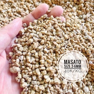 1kg Đá khoáng Masato 3-6mm - Kích rễ, giữ màu sen đá