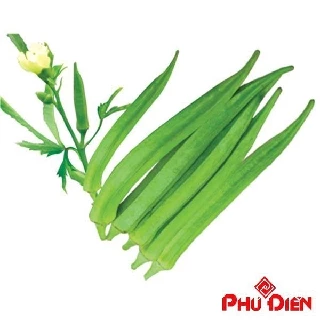 40 Hạt giống quả Đậu bắp Xanh  PHÚ ĐIỀN