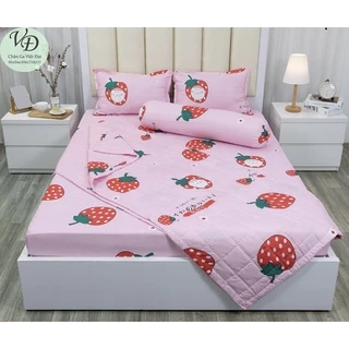 Chăn Hè Cotton Poly Trần Bông 3 Lớp - Hơn 40 Hoạ Tiết - Chuẩn Hàng Loại 1 Kích Thước : 1,8m x 2m