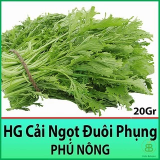 20Gr Hạt Giống Cải Ngọt Đuôi Phụng Tỉ lệ Nảy mầm Cao