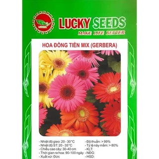 Bán Hạt Giống Hoa Đồng Tiền Kép Mix LUCKY SEEDS  (10 hạt) hàng chuẩn