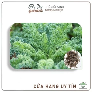 Hạt giống Cải Kale Mỹ Starbor - Tỷ lệ nảy mầm cao [Siêu Rẻ] (100 Hạt)