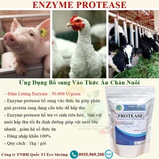 Enzyme Proteasa Nguyên Liệu, Bổ Sung Thức Ăn Trong Chăn Nuôi, Phân Hủy Protein, Tăng Cường Hấp Thu Dinh Dưỡng.