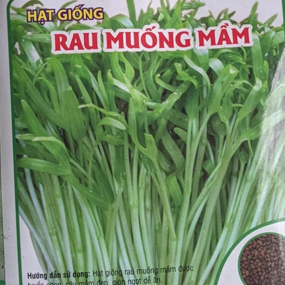 Hạt giống Rau muống mầm 100g. Nảy mầm khỏe