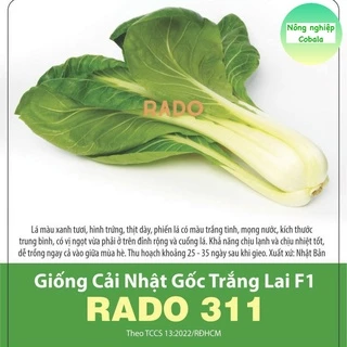 Hạt Giống Cải Nhật Gốc Trắng (331) 2gr