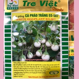 HẠT GIỐNG CÀ PHÁO TRẮNG GIÒN (2gr)