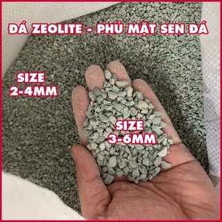 [500gr mua 5 tặng 1] Đá Zeolite stone - phủ mặt sen đá.