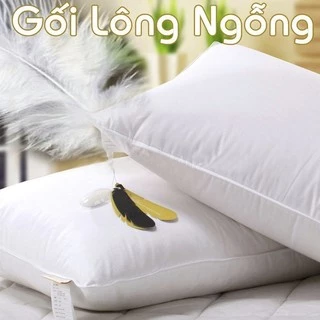 Gối lông ngỗng cao cấp