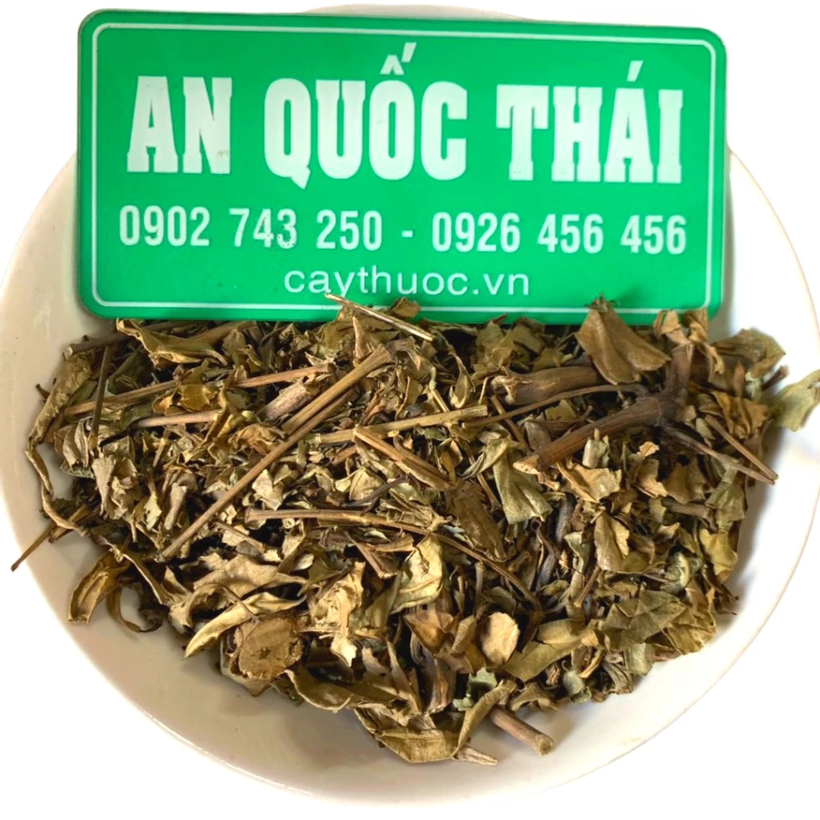 Cây Hoàn Ngọc Ngừa Ung Thư 100g, Hoàn Ngọc Khô Hỗ Trợ Ung Thư, Trà Hoàn Ngọc Tốt Cho Người U Bướu