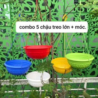 combo 5 chậu treo rộng lớn - đường kính 26cm.