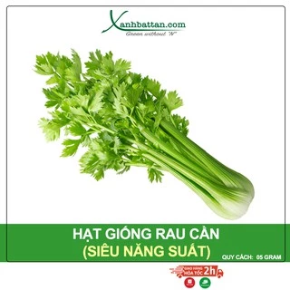 Hạt Giống Rau Cần Vàng Pháp Gói 5 Gram