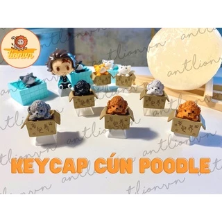 Nút Bàn Phím Cơ Keycap lẻ hình Chó Poodle Trong Hộp siêu dễ thương Keycap Lionvn