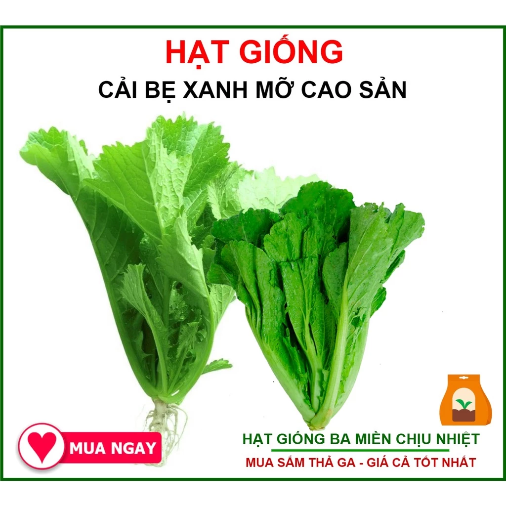 Hạt Giống Cải Bẹ Xanh Trang Nông - 20gr