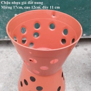 Combo 5 Chậu Nhựa trồng Lan giả đất Nung Size 14-17-20-23cm